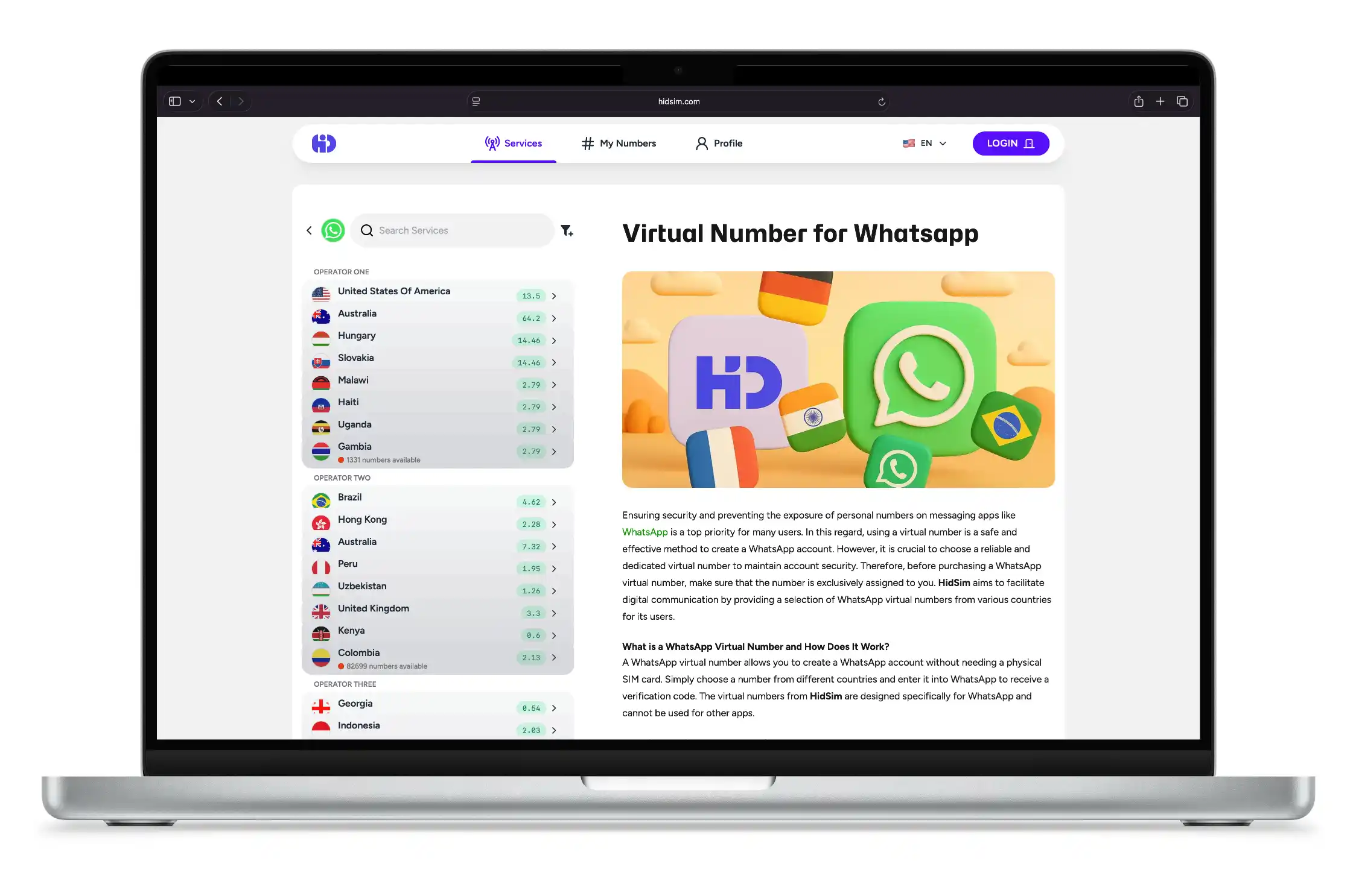 buy WhatsApp virtual number from HidSim